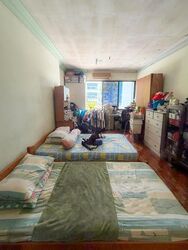 Canary Park (D16), Semi-Detached #614503591